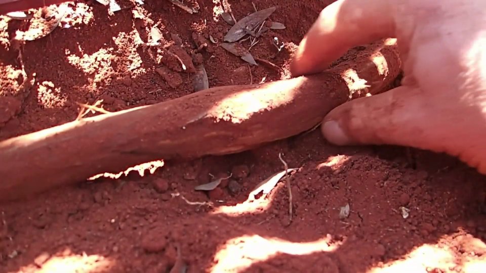Surviving in remote Australian outback using primitive techniques