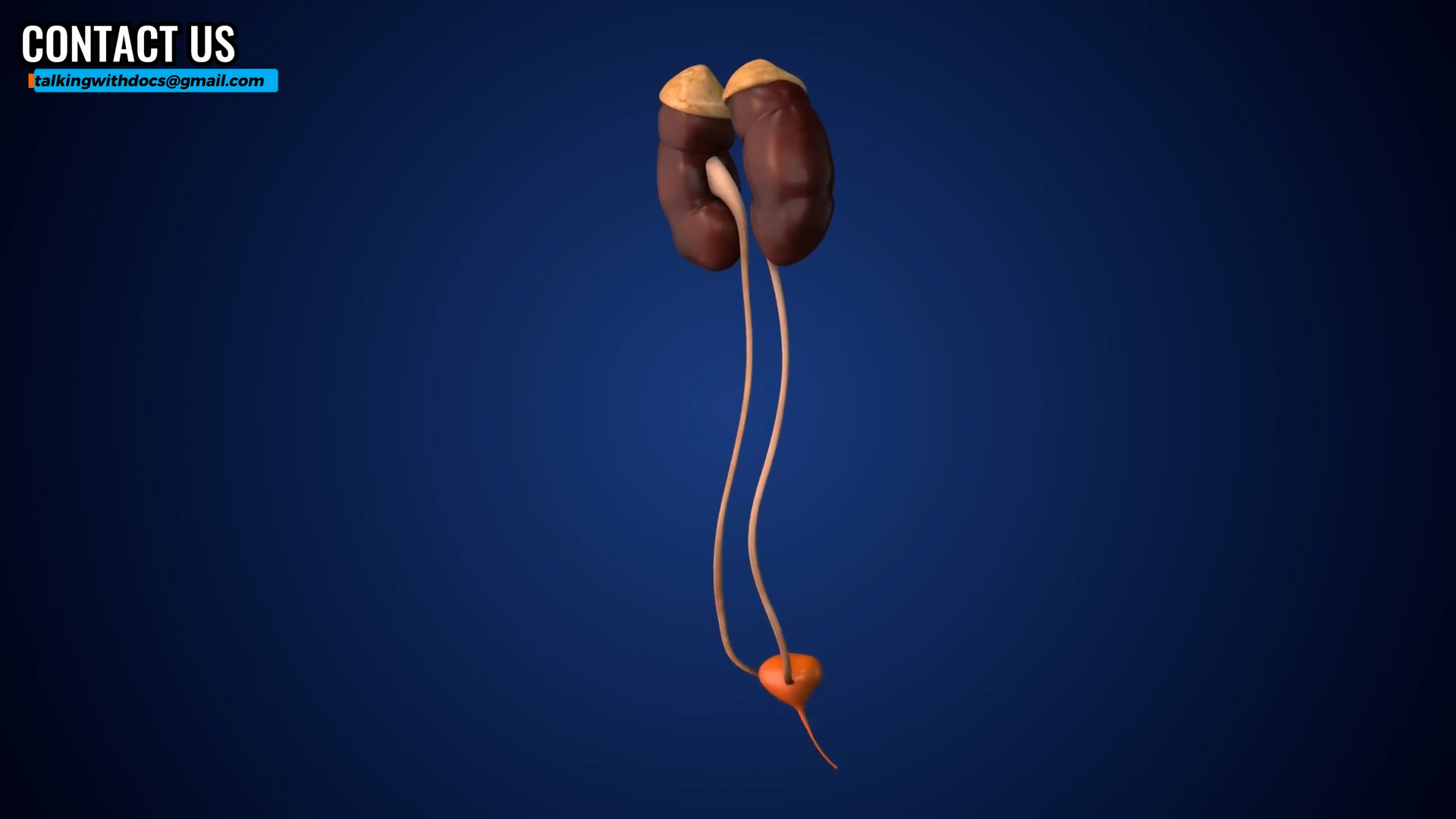 Doctors explain everything you should know about have a kidney stone