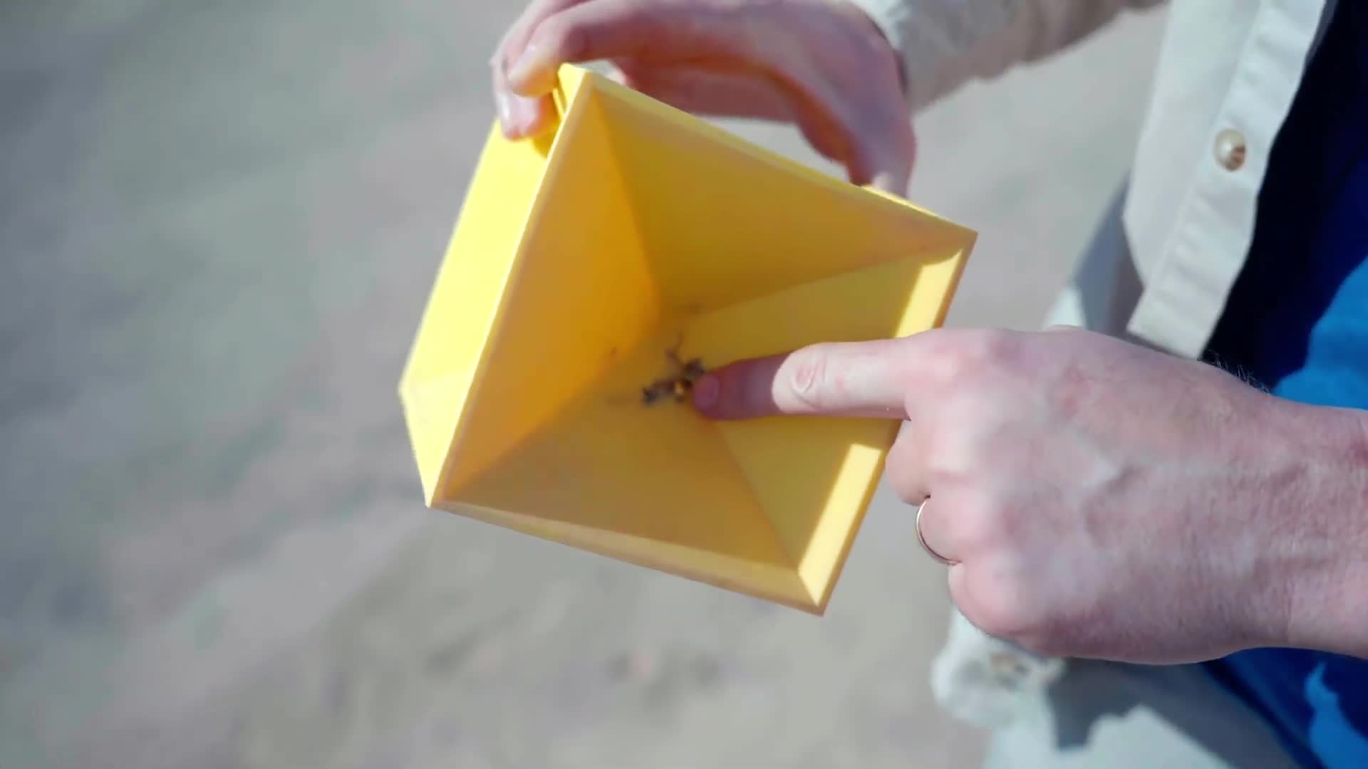Hundreds of rounds tested against self-healing targets to see what breaks first