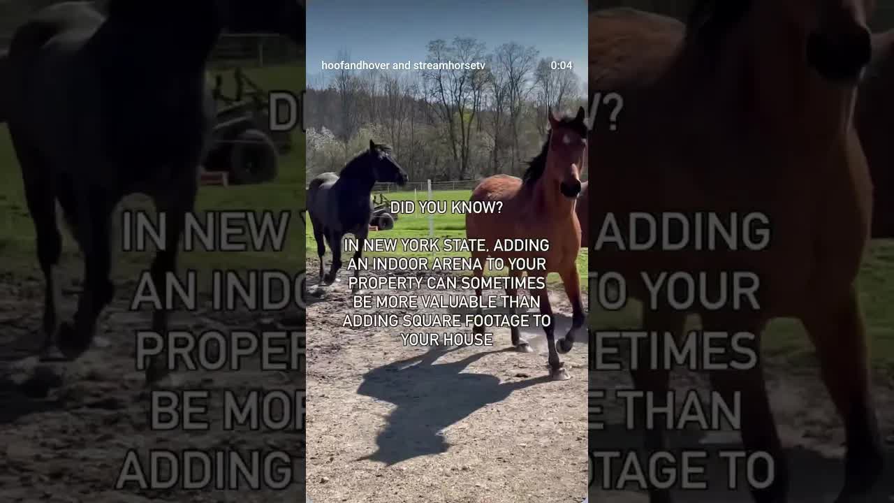 Indoor arena is greater than kitchen reno, at least according to horse people. 🙃