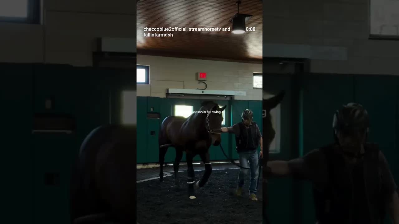 Is your mare ready? 💐🎠🔥