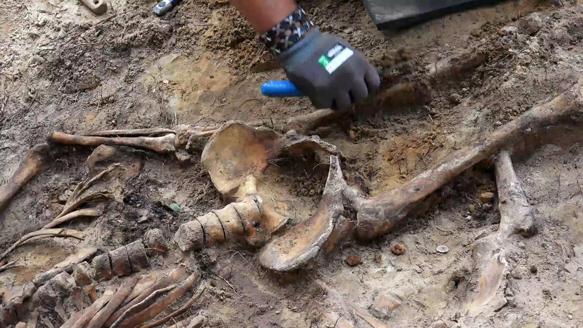 Ancient finds locked in vaults for centuries that institutions finally agreed to open recently