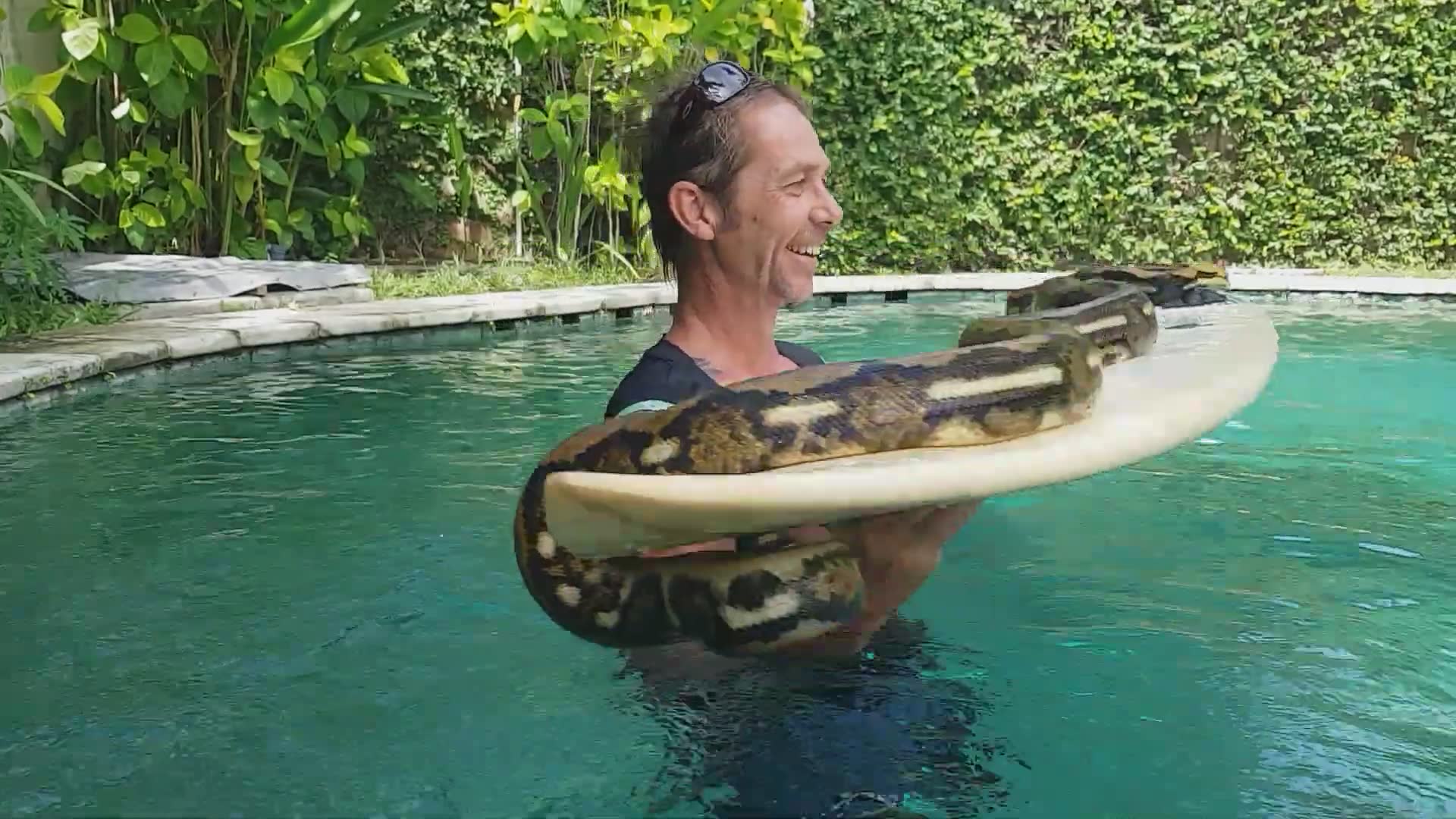 Discovering unique snake swimming behavior in ocean