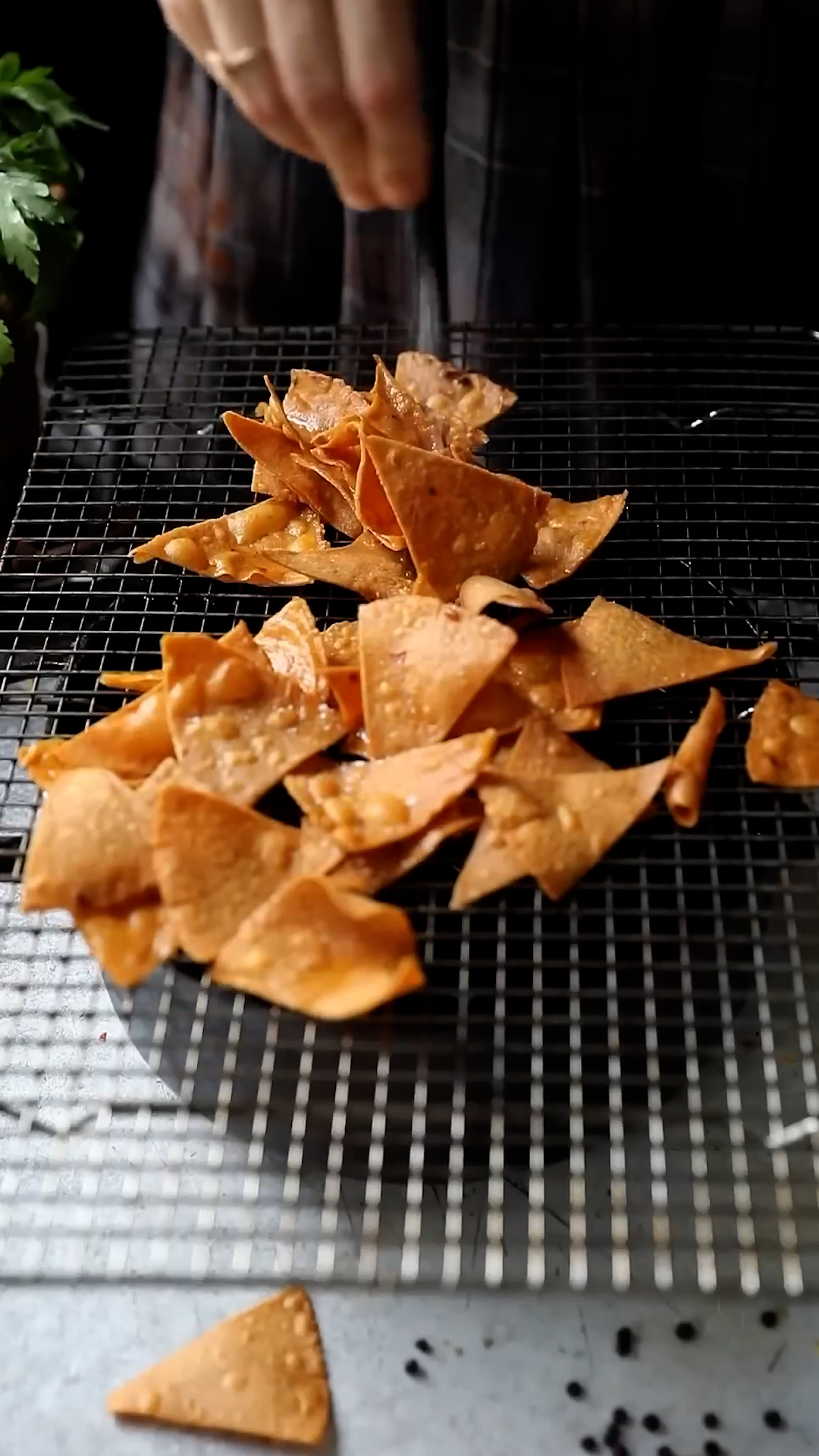 Crispy tortilla chips covered in braised meat and cheese