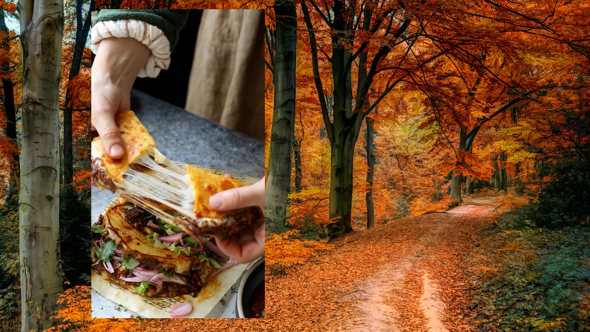 Embracing the warmth of fall in the kitchen