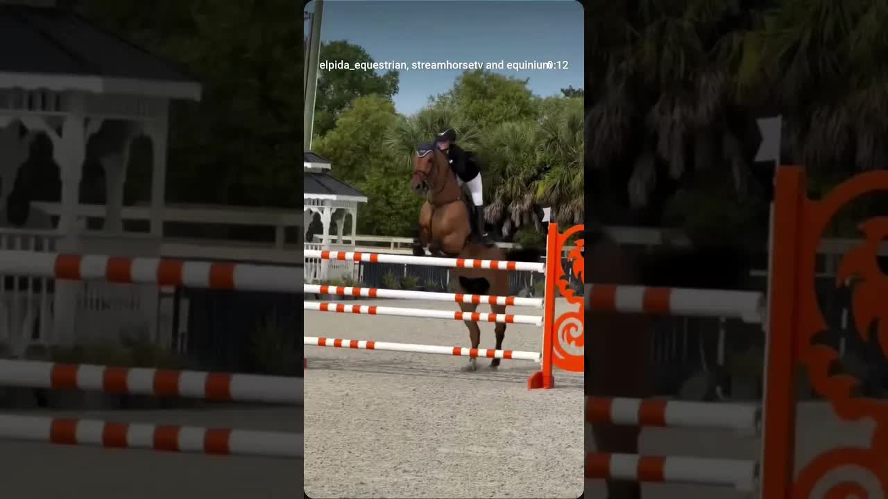 Milestone moment 💫 Jumped to 11th in Saturday’s $25k Sunsets and ShowJumping National Grand Prix