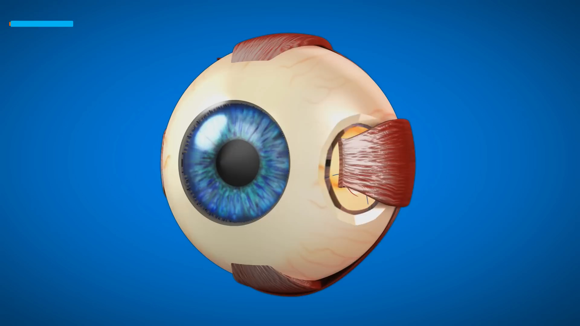 Detached Retina - Maybe The Most Dangerous Eye Condition
