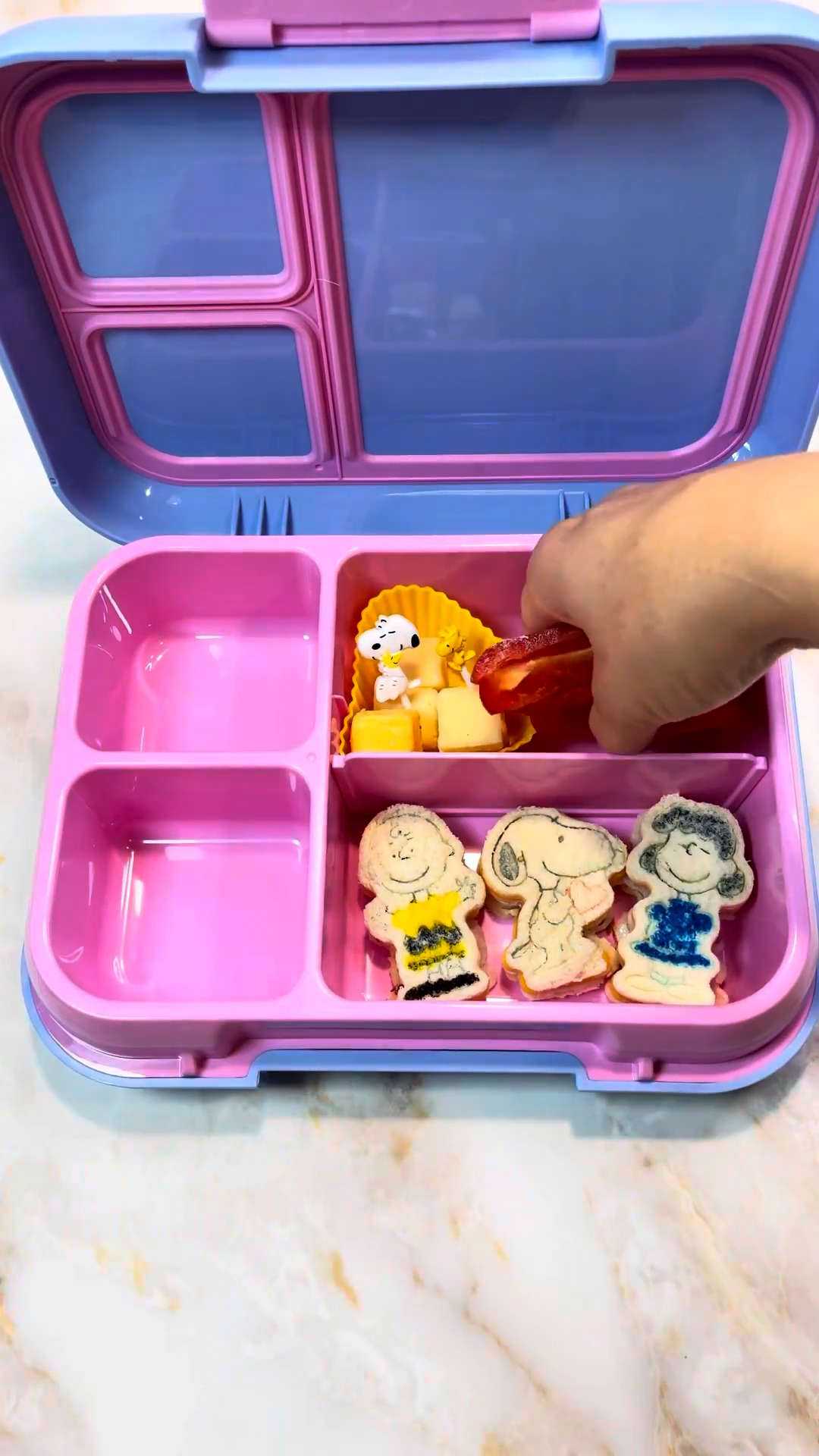 Creative school lunch featuring balanced nutrition and fun perfect for school days