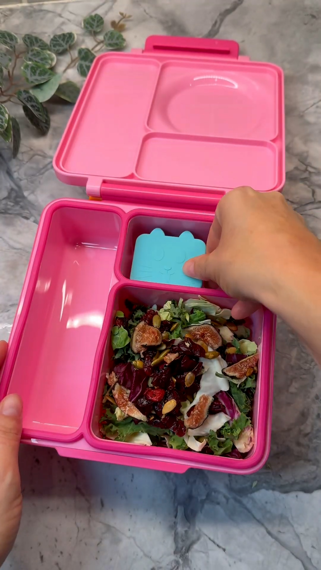Simple and fast school lunch requiring minimal prep time perfect for school days