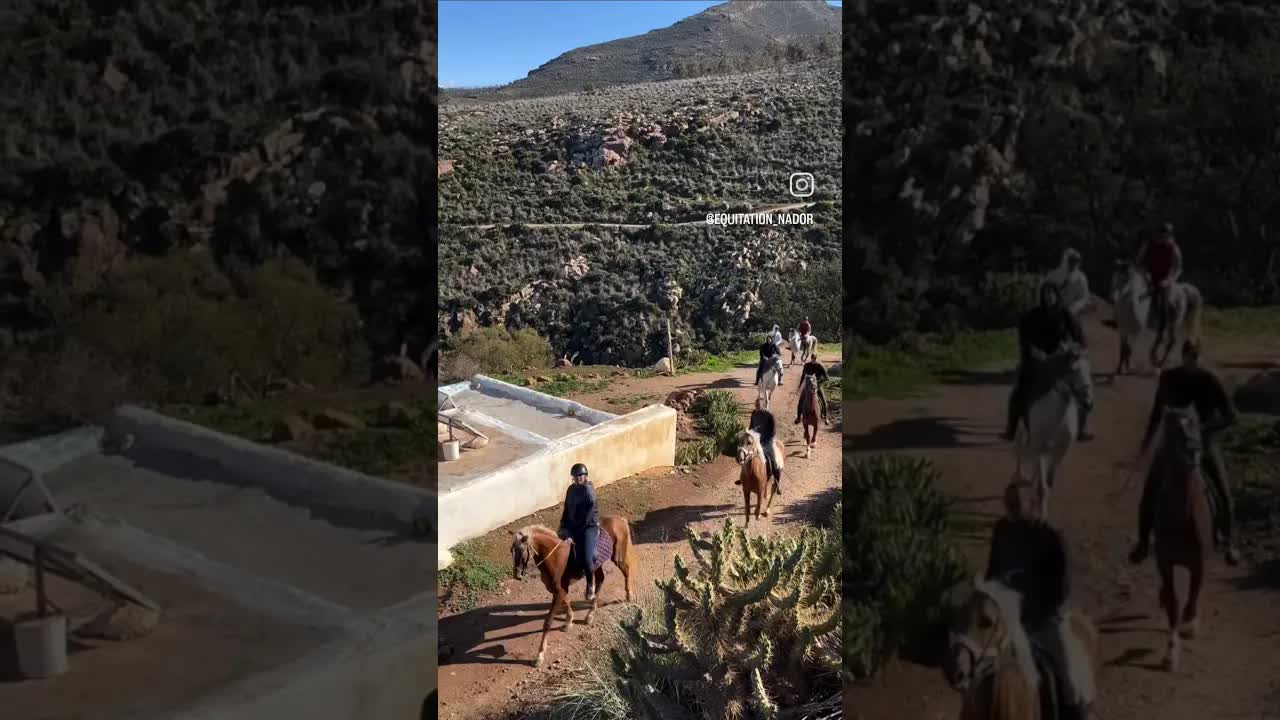 A perfect day riding in the forests of Nador!