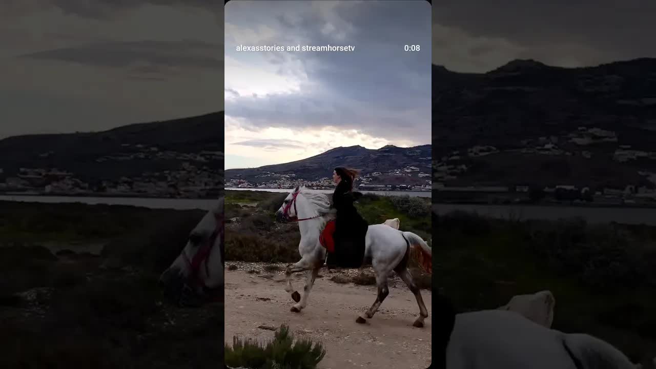 Chased this beautiful sunset on this stunning and strong horse Sadam from @equitation_nador 🦄👌✨️