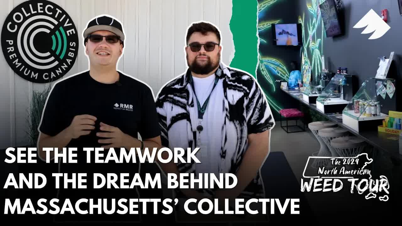 Experience Nimbus Vapes at Collective Dispensary in Massachusetts