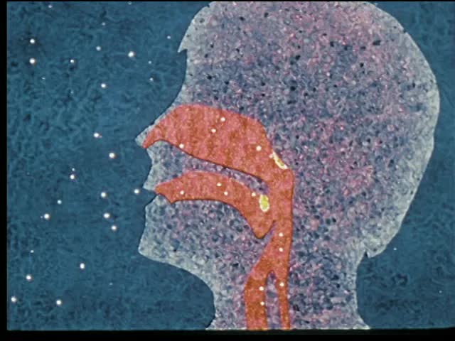 Body Defenses Against Disease (1978)