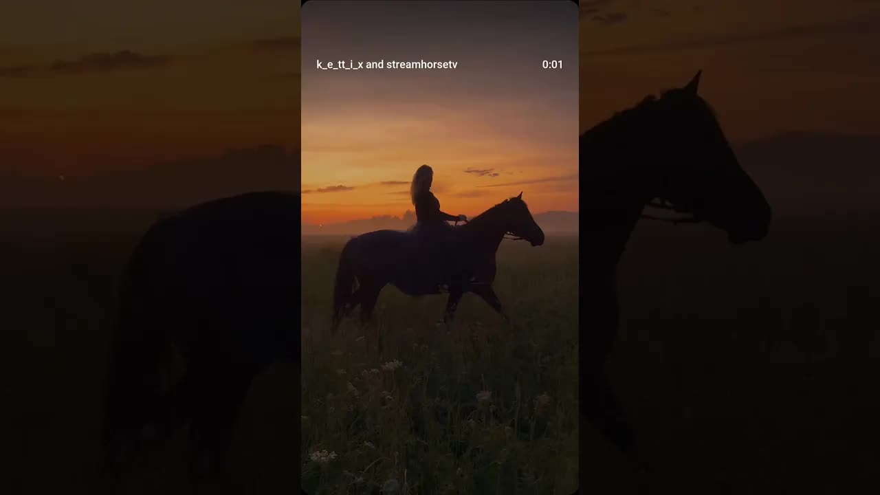 🧡🌅