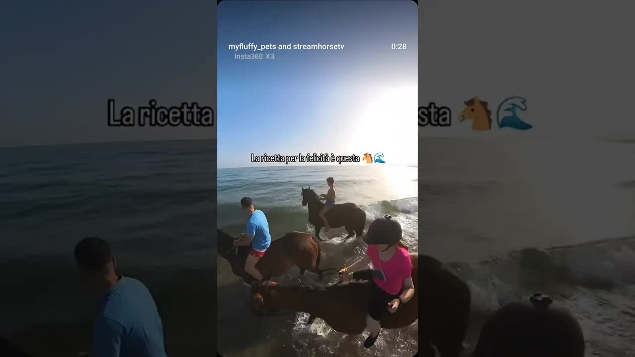 Alzarsi all'alba per questo 🌊🐴 Momenti impagabili ❤️