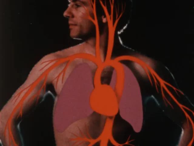 Human Body: Respiratory System (2nd Ed, 1980)