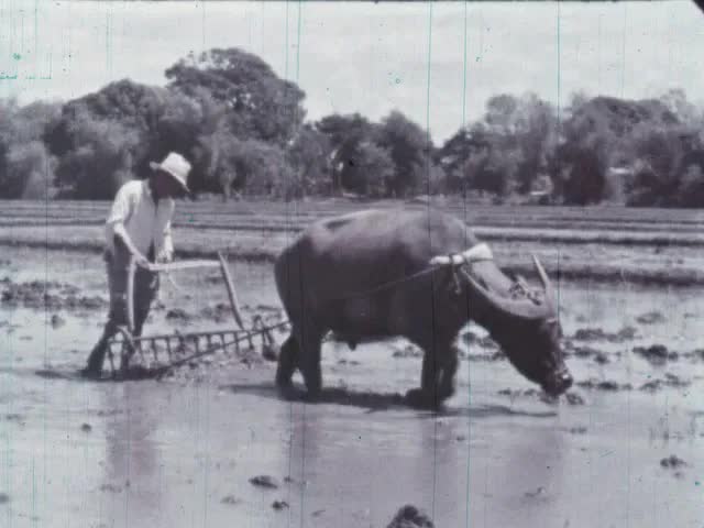 Republic Of The Philippines (1959)