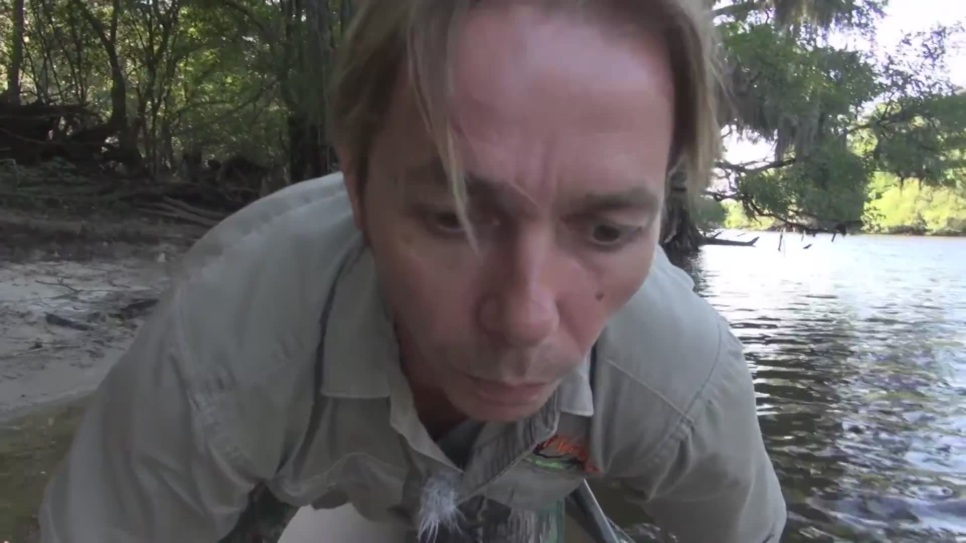 Big alligator encounter | Do they attack?