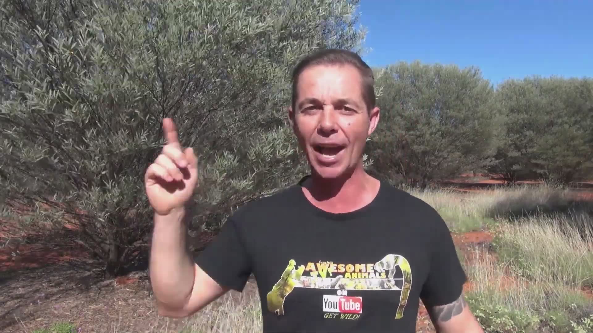Big angry snakes warning