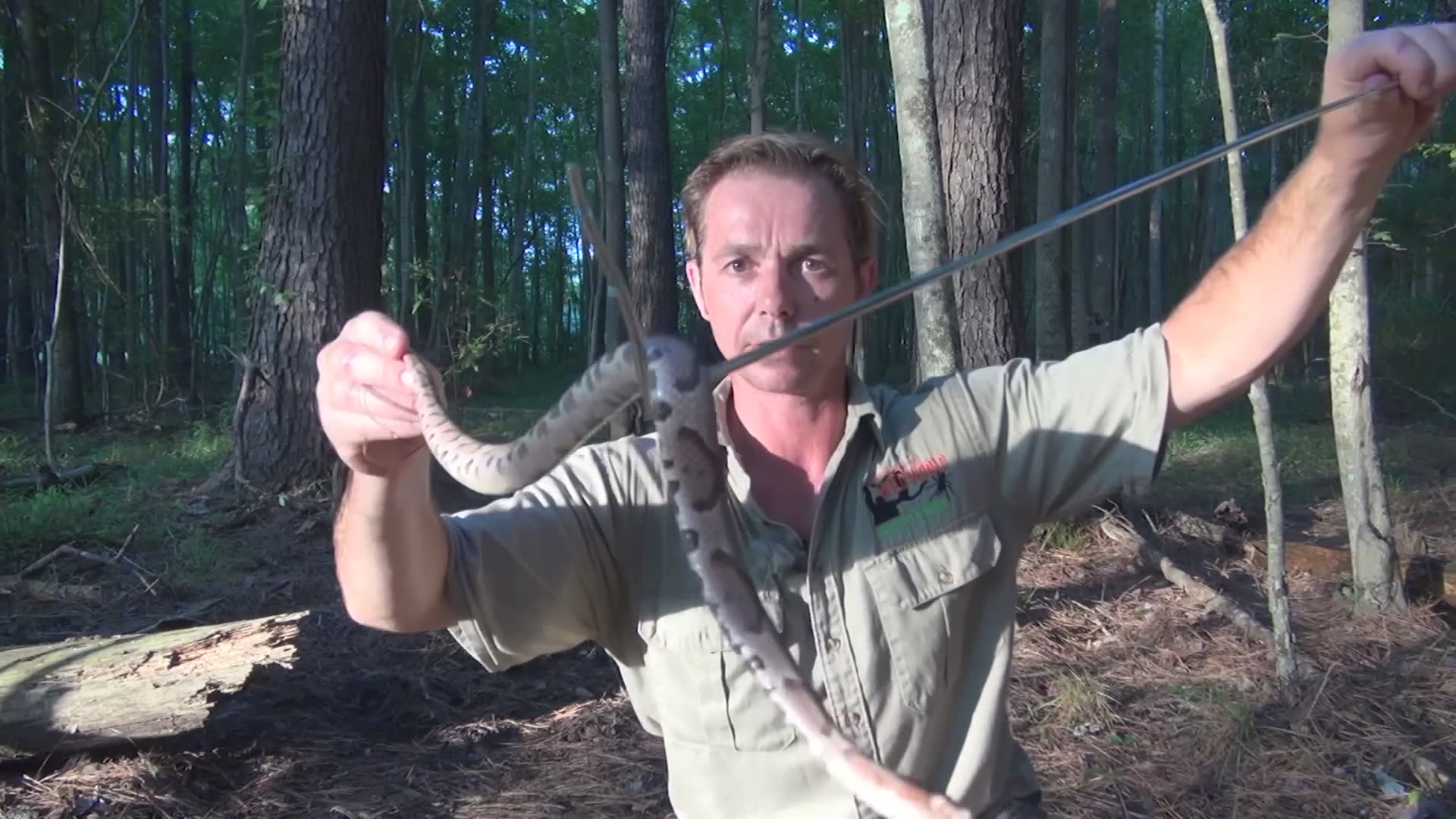Copperhead | Top 10 snakes in USA