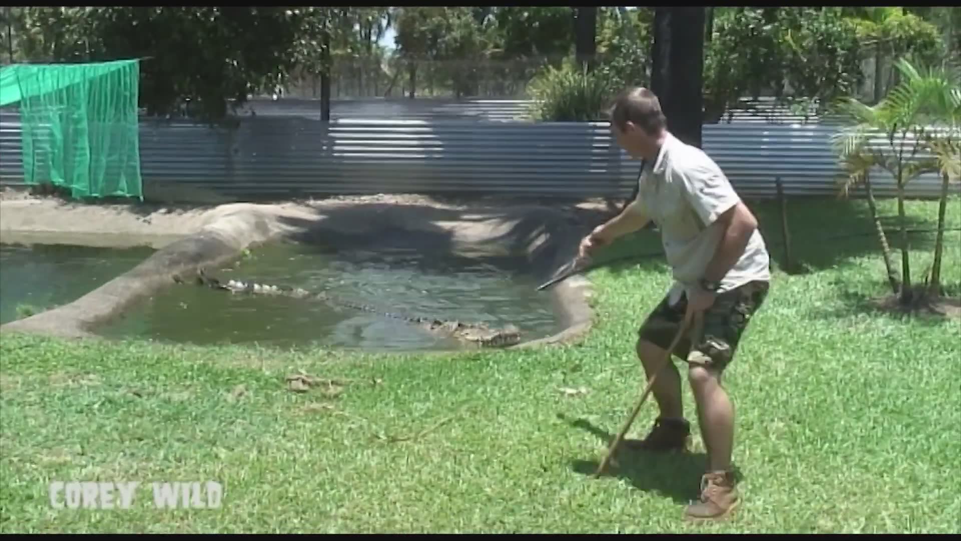 Crocodile whisperer | Monster crocs and crocodile attacks