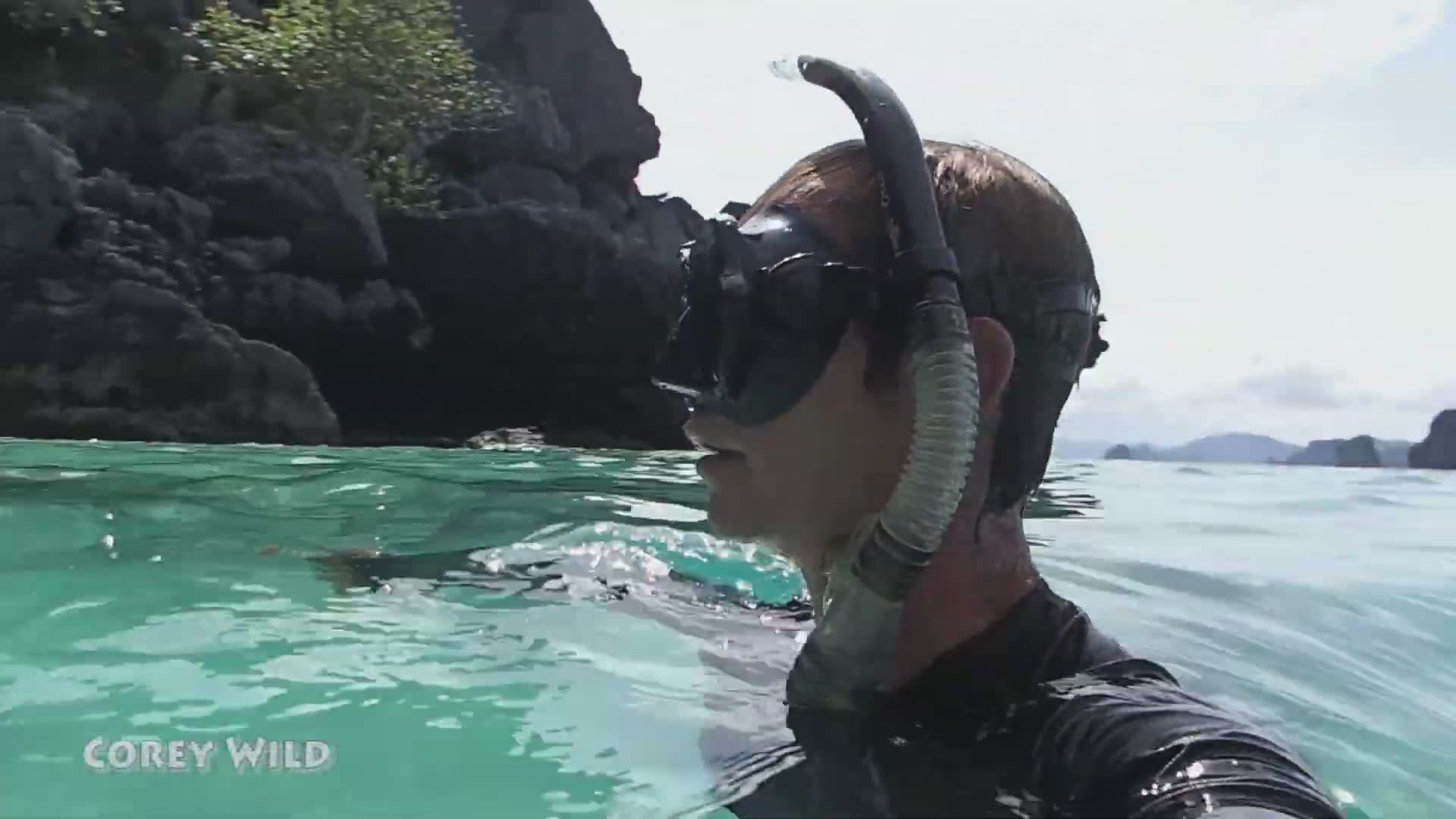 Diving with sea turtles | Are they endangered?