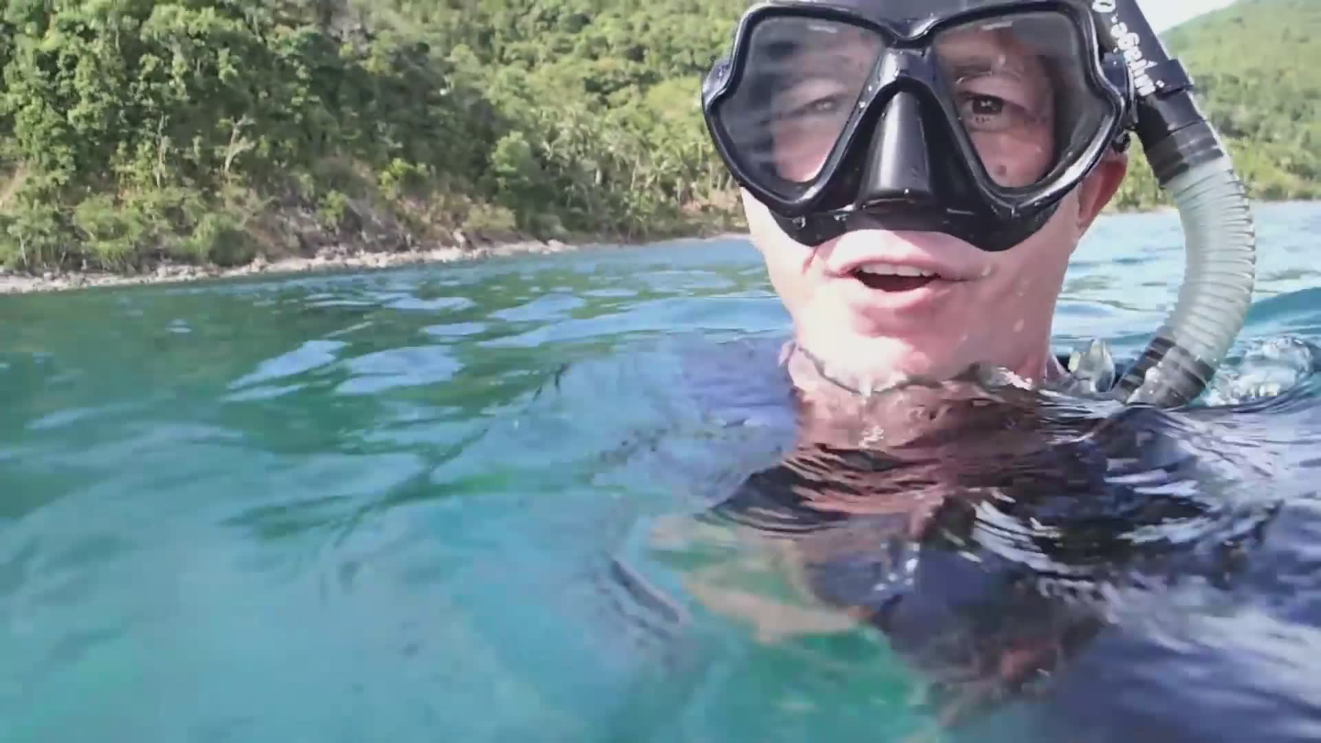 Diving for venomous snakes | Krait or sea snake discovery