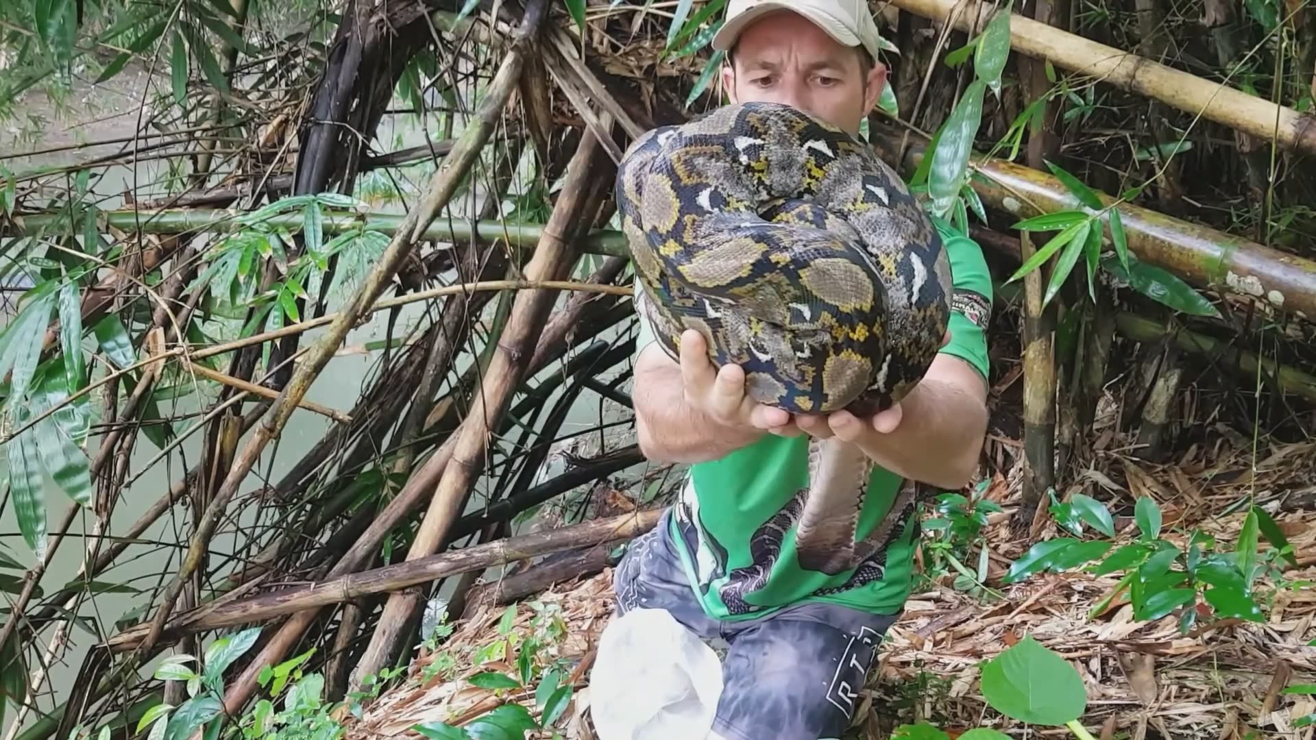 Don't play with big snakes
