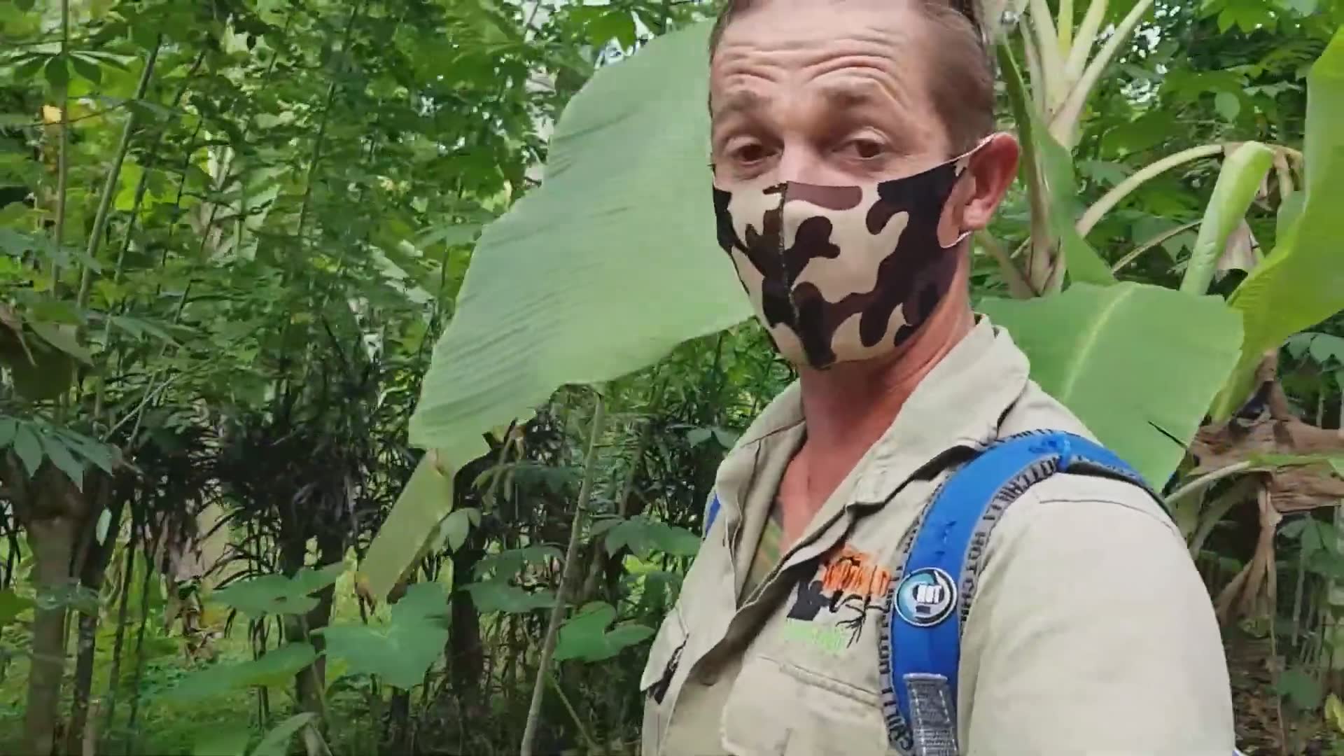 King cobra adventure | Top 10 venomous snakes