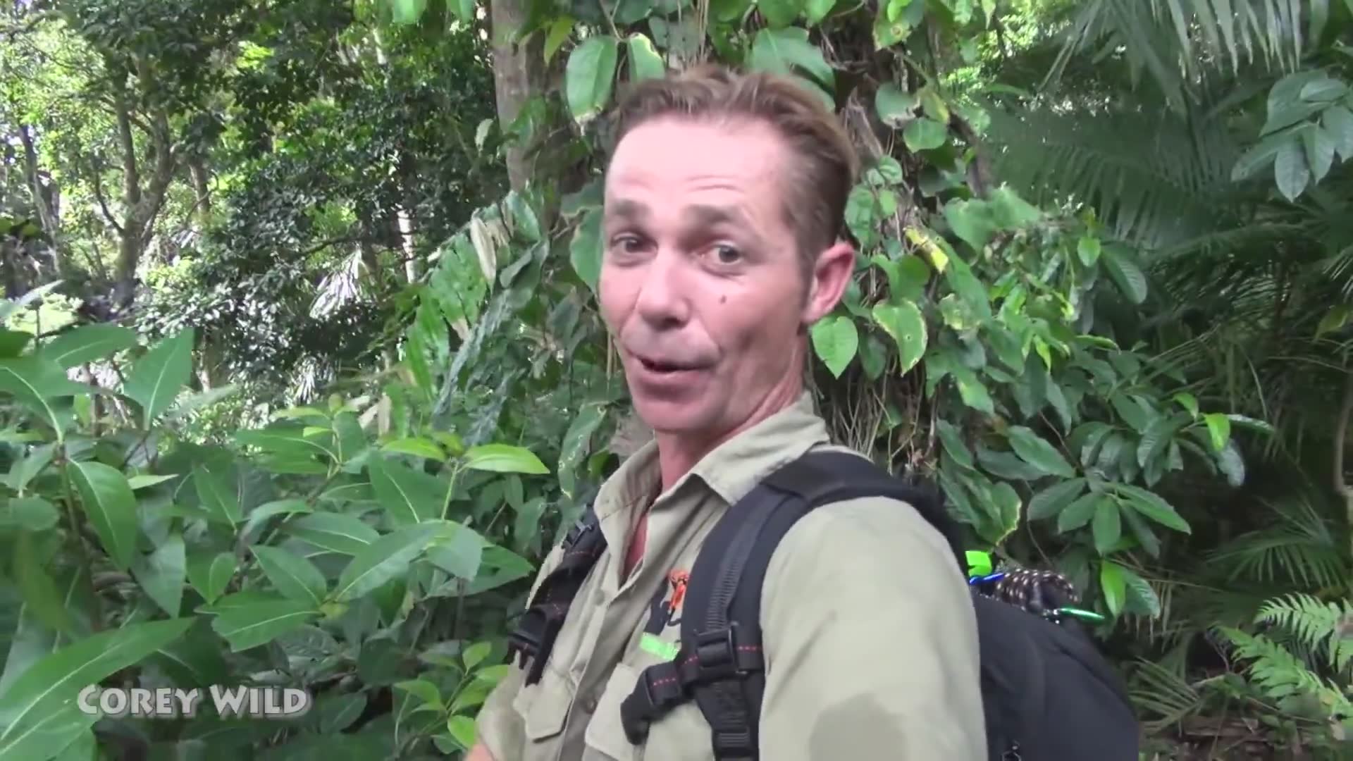 Monkey bites | Don't do this in Asia before you go