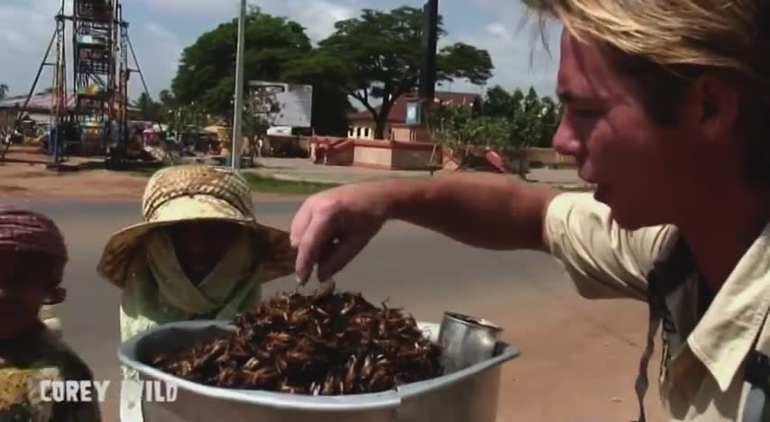 Primitive foods | Tarantula snacks
