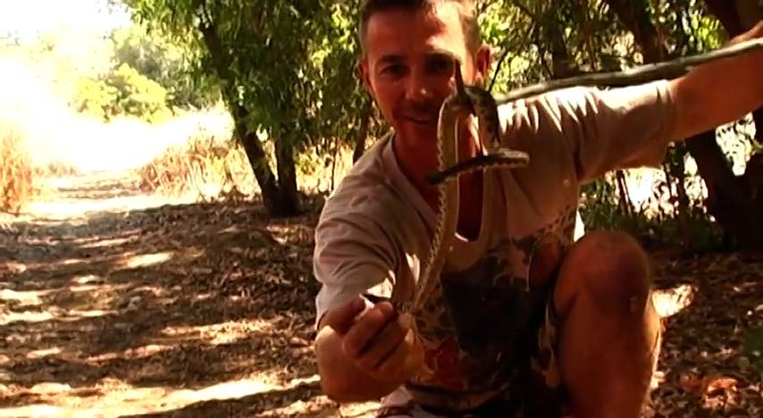 Rattle snakes in Hollywood Hills | Runyon Canyon and Beverly Hills with snake dude