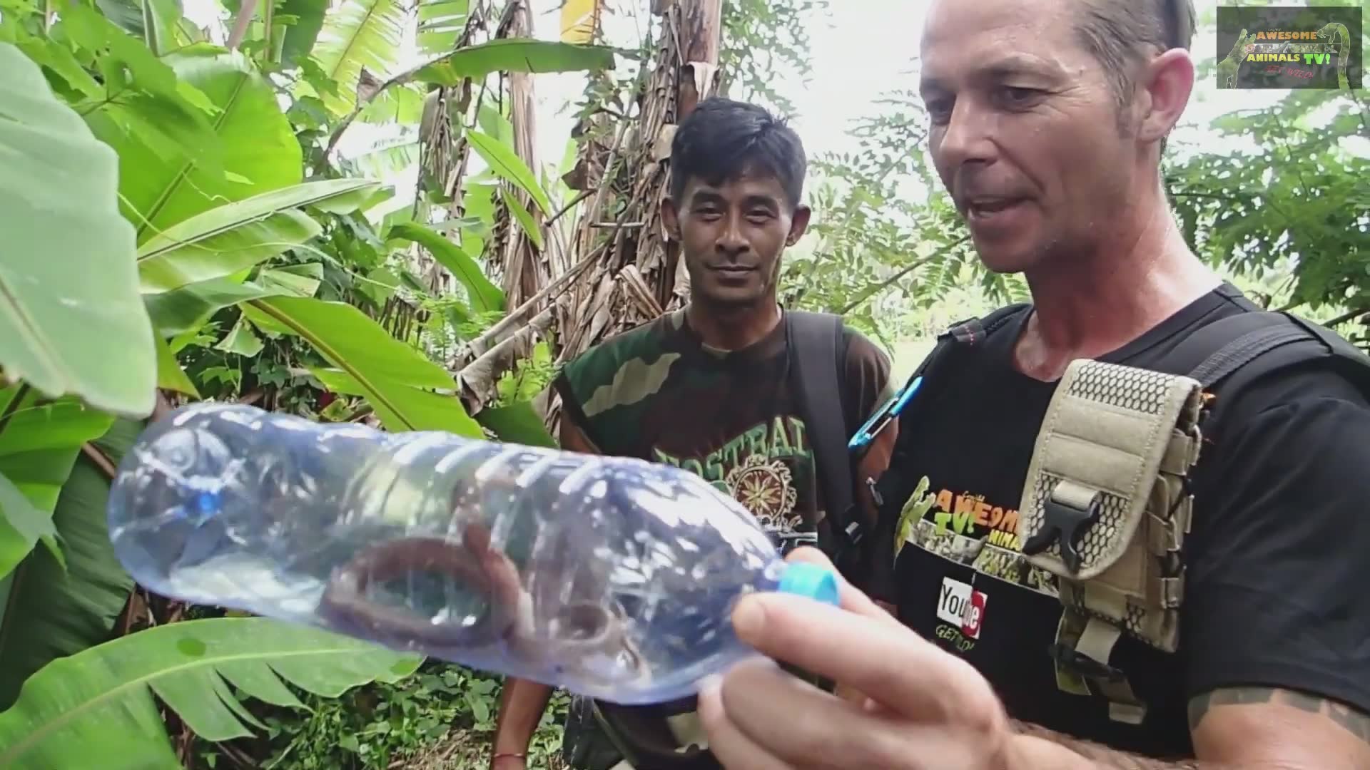 Reptiles Asia | Snake dude cobra, monitor and venomous snakes reptiles herping Bali