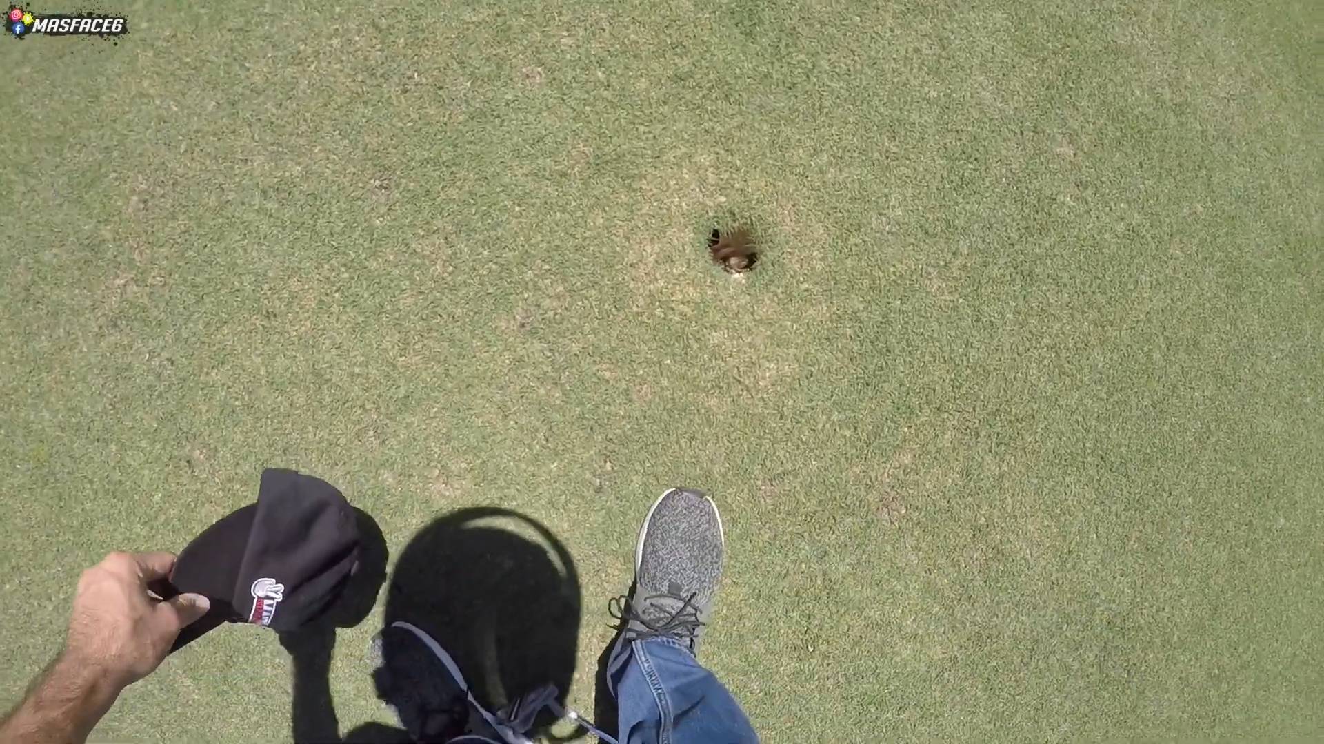 Frog discovered living in golf hole