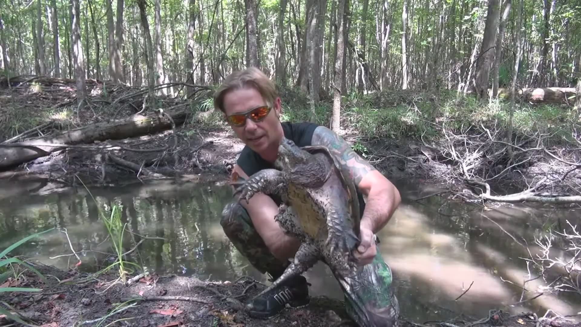 Snapping turtle fail