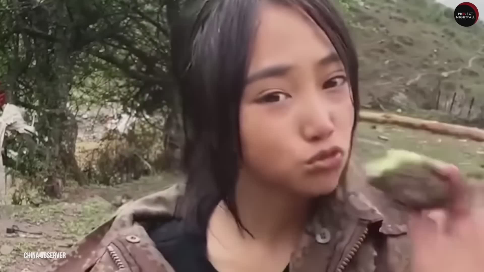 Exposing China's Web of Fake Influencers