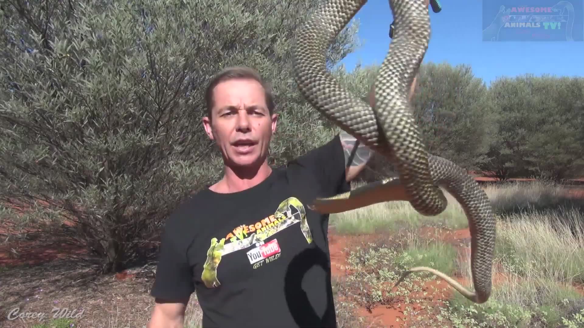 The Snake Dude vs Snakes