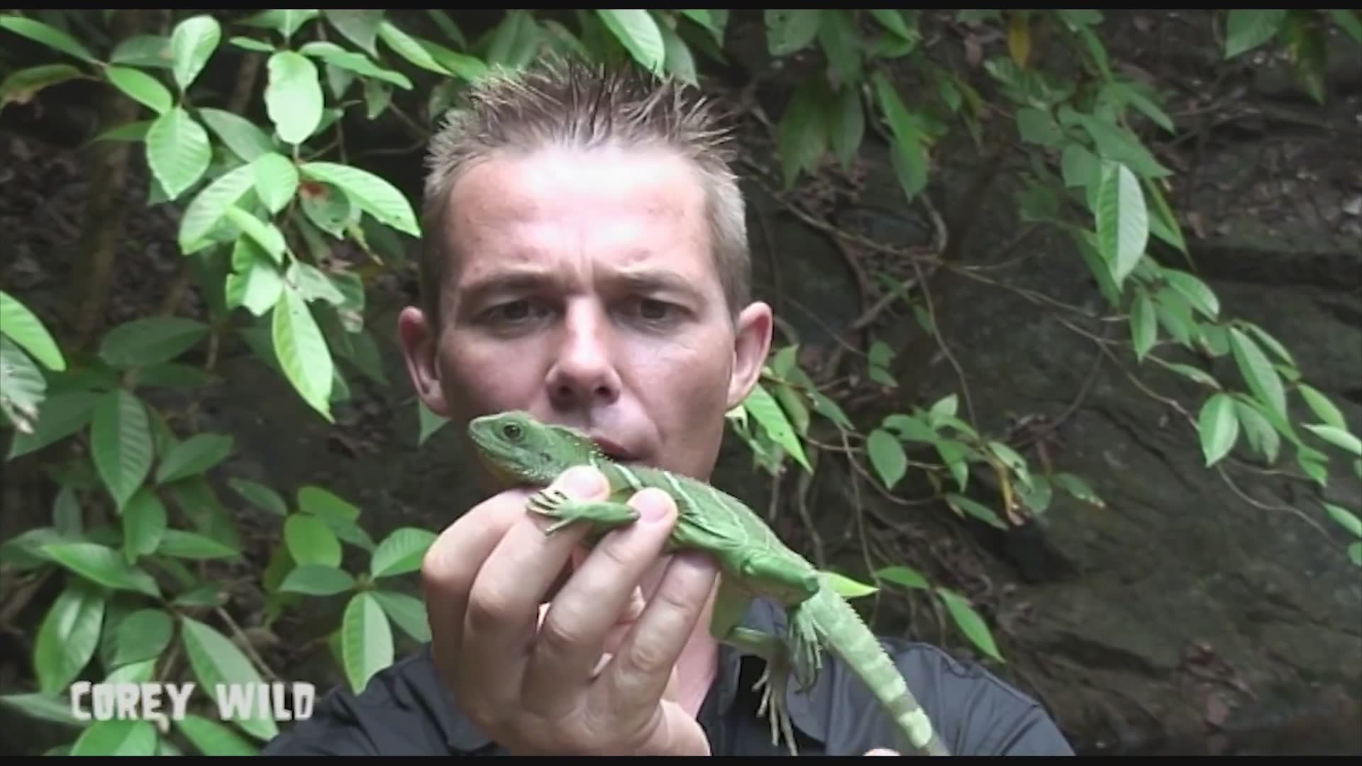 Wildlife tips you need if you're traveling to Thailand