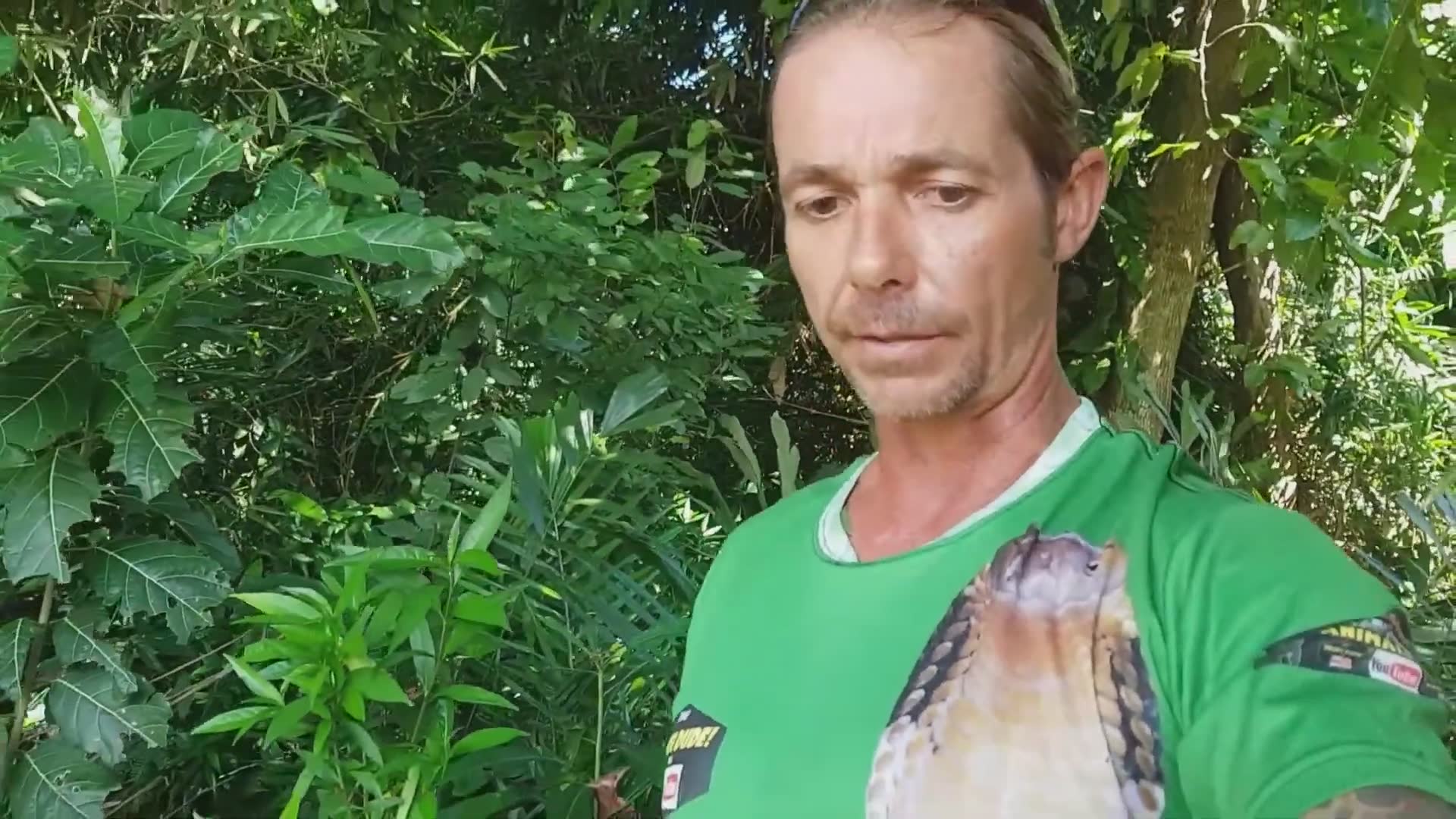 Venomous snake you need to see