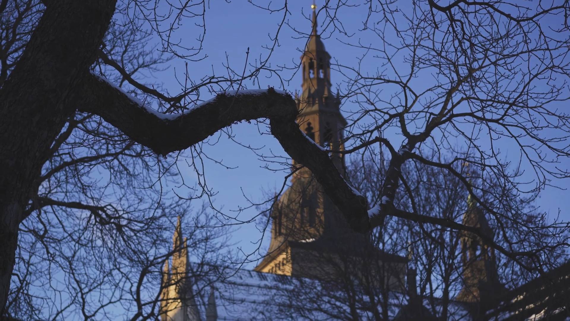 Trøffelfest på den italienske restauranten Baltazar i Oslo