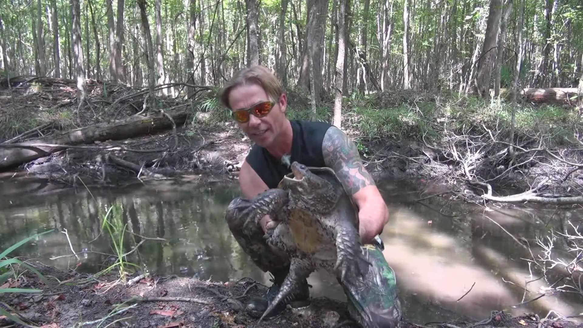 Snapping turtle fail