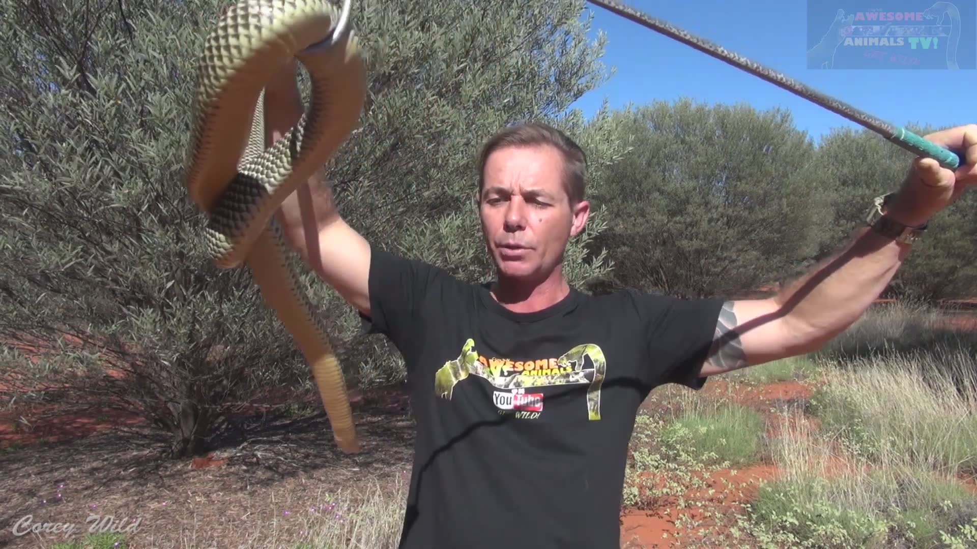 The snake dude vs snakes