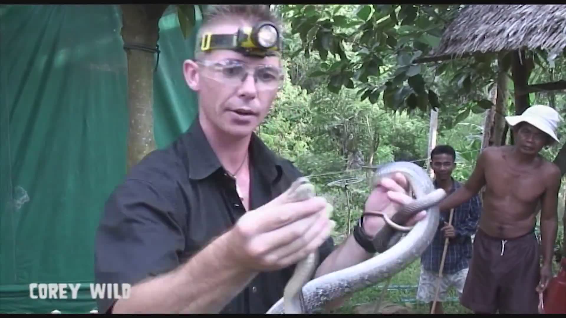 Top 10 dangerous animals in the world | Scorpion
