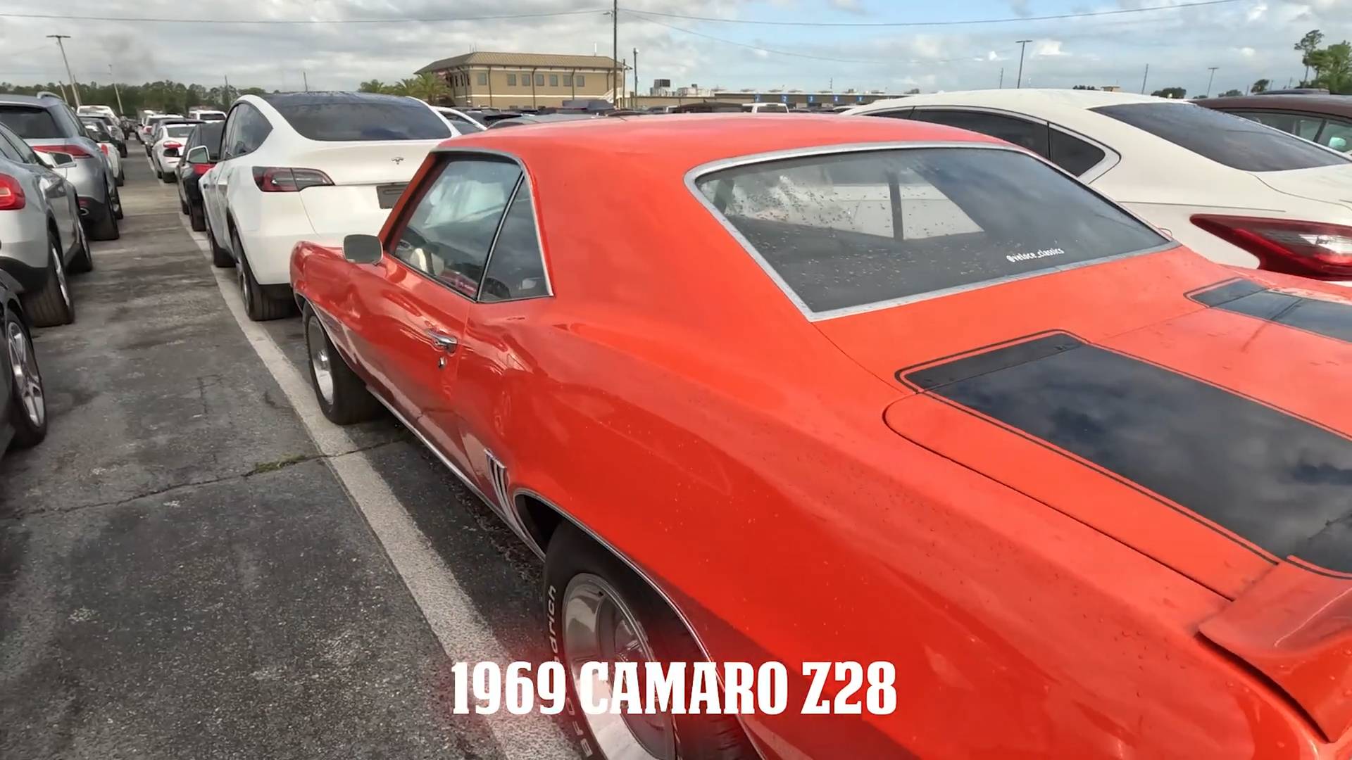 Are cars cheaper at dealer auctions in Florida?