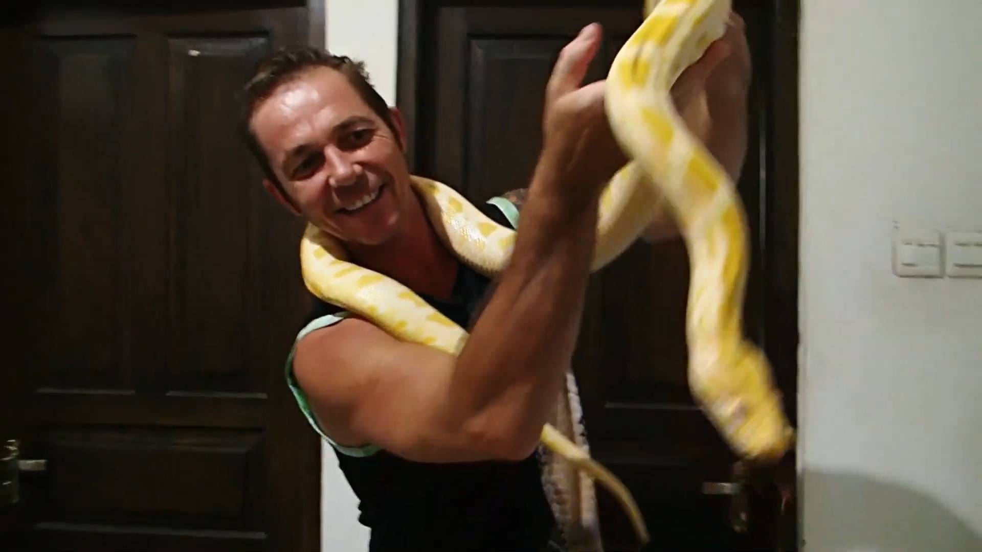 Feeding snakes chicken