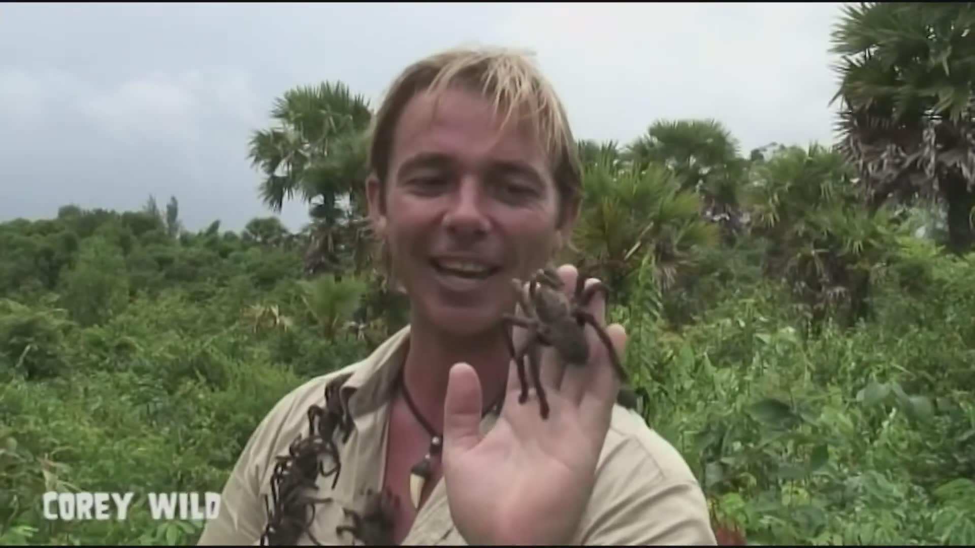 The Snake Dude adventures you need to see