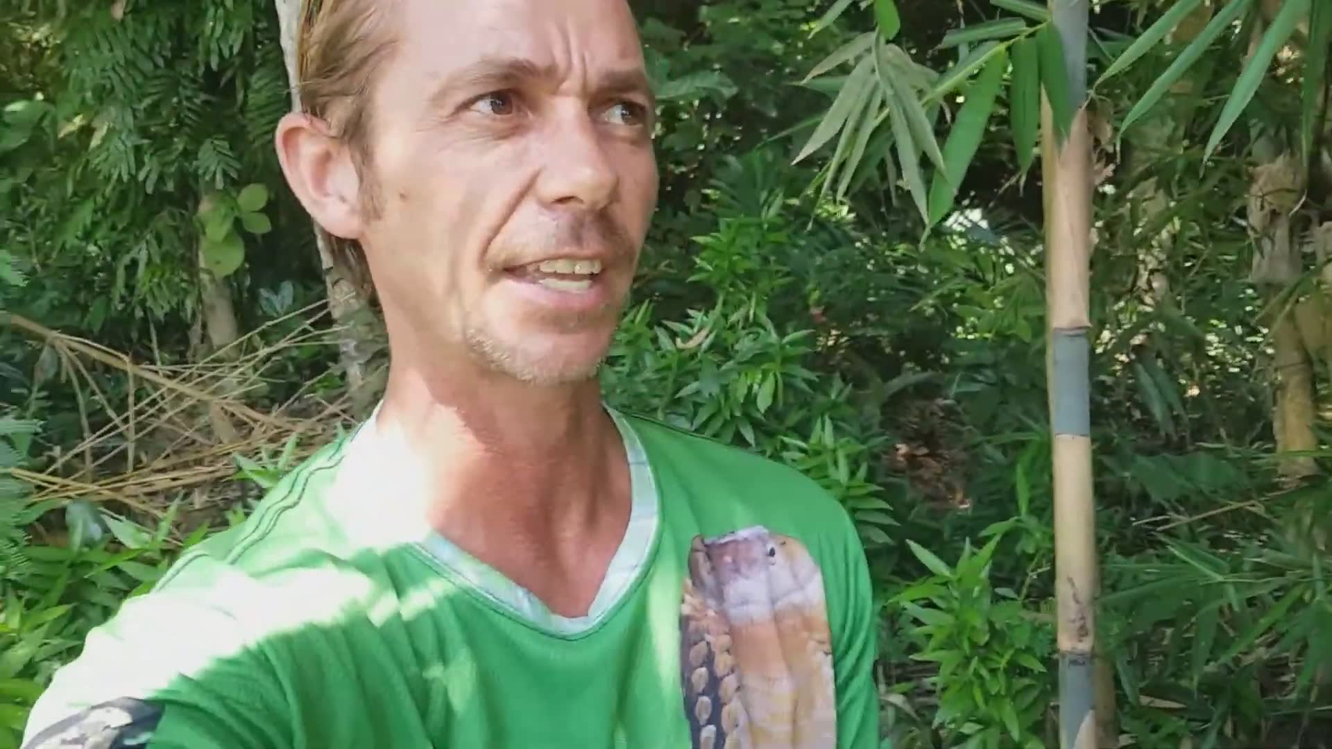 Venomous snake you need to see