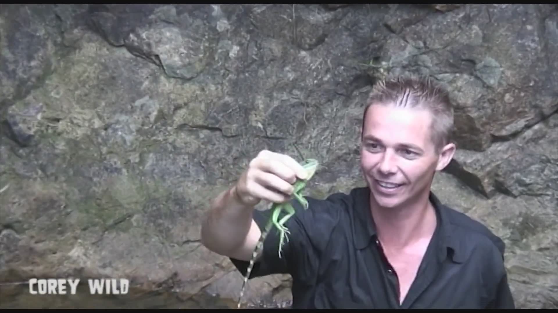 Wildlife tips you need if you're traveling to Thailand