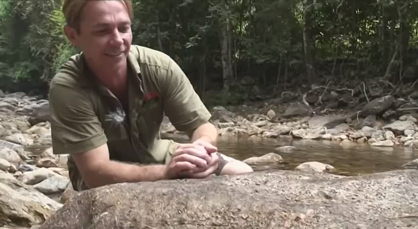 Top 10 frogs in the world