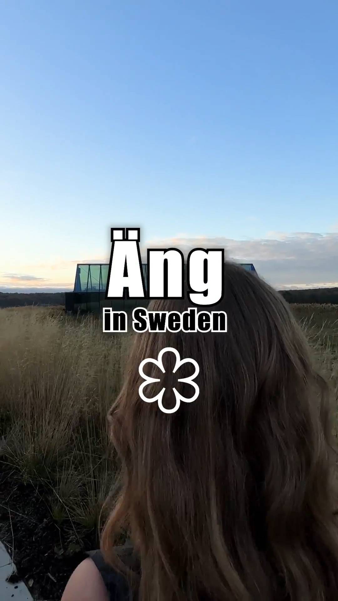 Slik ser et måltid ut på | Restaurant Äng i Halland, Sverige